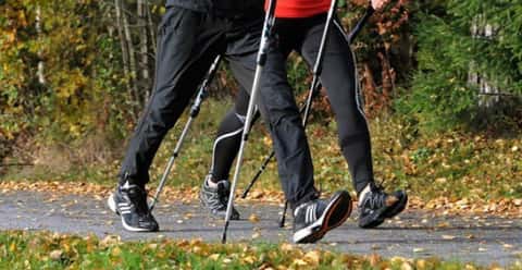 Walking Poles