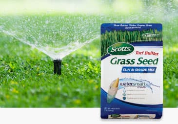 Grow New Lawn