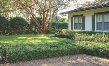Tips For Lawn And Garden