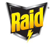 raid