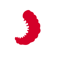 Grubs