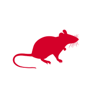 Mice