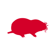 Moles