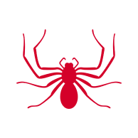 Spiders