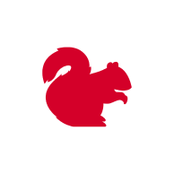 Squirrels